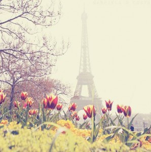 331052-i-love-travel-beautiful-paris